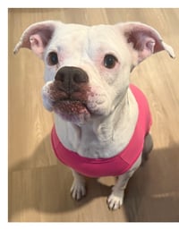 Copy of ThaddeusEdwin (1)